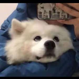 黄片真人真事儿
