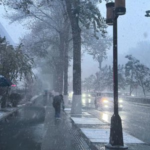 黄片真人真事儿
